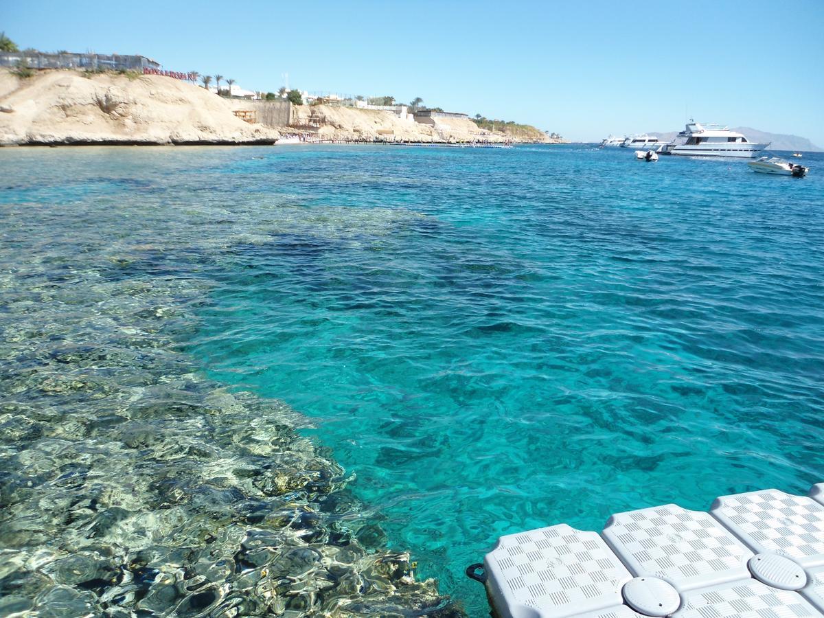Sharks Bay Oasis Apartment ชาร์มเอลชีค ภายนอก รูปภาพ