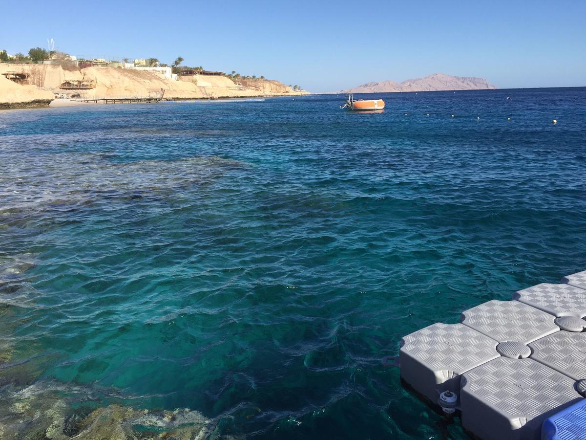 Sharks Bay Oasis Apartment ชาร์มเอลชีค ภายนอก รูปภาพ